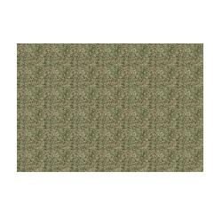 ECO